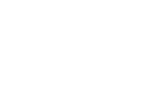 Souvenirinn Logo in white color